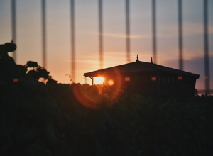 2b68e6_d17117aab94c46929907246ec5f58272~mv2 2b68e6_d17117aab94c46929907246ec5f58272~mv2