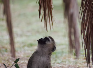 2b68e6_89630c59e214464e90a850b205ab9bce~mv2 2b68e6_89630c59e214464e90a850b205ab9bce~mv2