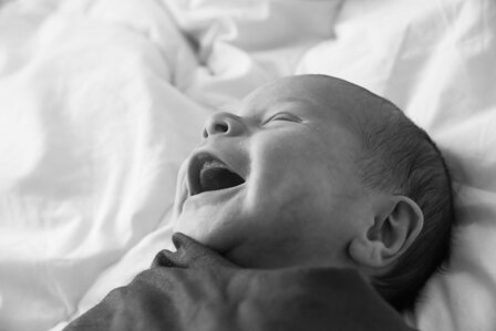 8e0344c6bece9748d82b945581e3372dd0450967