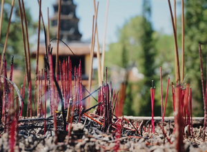 2b68e6_c9582ac81f9c405da233e119a8ffa878~mv2 2b68e6_c9582ac81f9c405da233e119a8ffa878~mv2