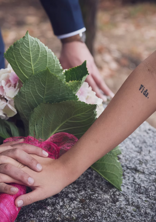 2b68e6_451feefee69d4b21bb066262559f870a~mv2