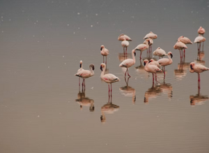 2b68e6_5dbd21578645449287302105f40197aa~mv2 2b68e6_5dbd21578645449287302105f40197aa~mv2