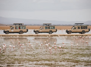 2b68e6_22a7b792e1aa439eb0d3fab6ba7ff267~mv2 2b68e6_22a7b792e1aa439eb0d3fab6ba7ff267~mv2