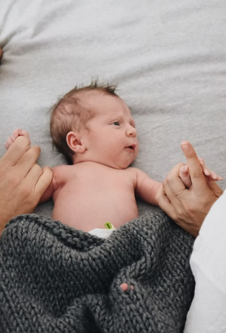 2b68e6_909520f80994405ea8b714619bafeb2b~mv2