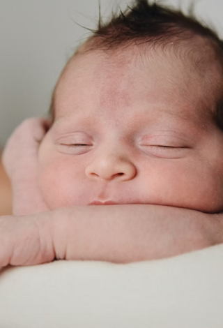 2b68e6_8a8c24ccf5f842d2aec6a8eb27bf4182~mv2