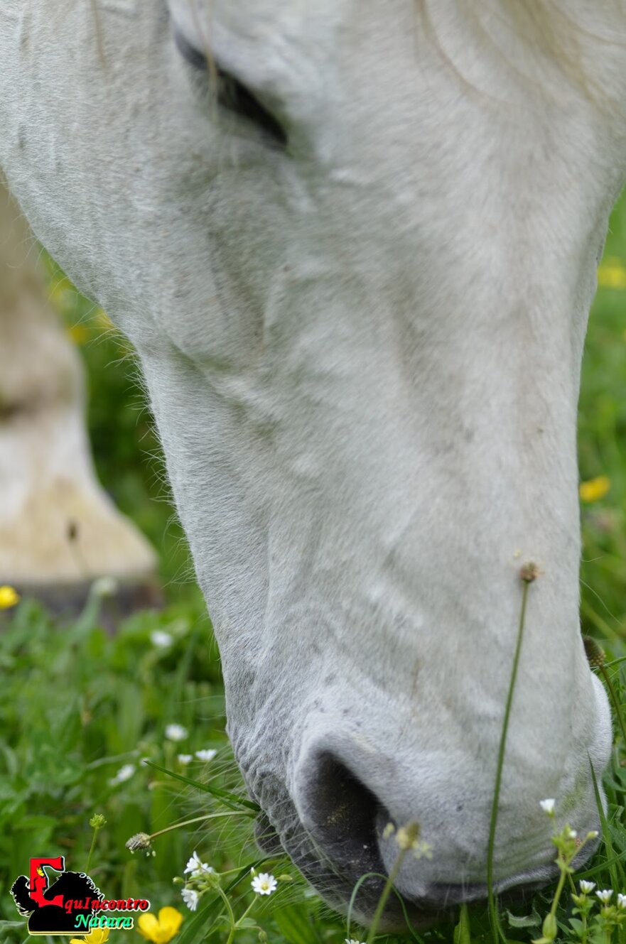 308465_1c9372a37dfa450d4b7e4484cae487cc5a151c43