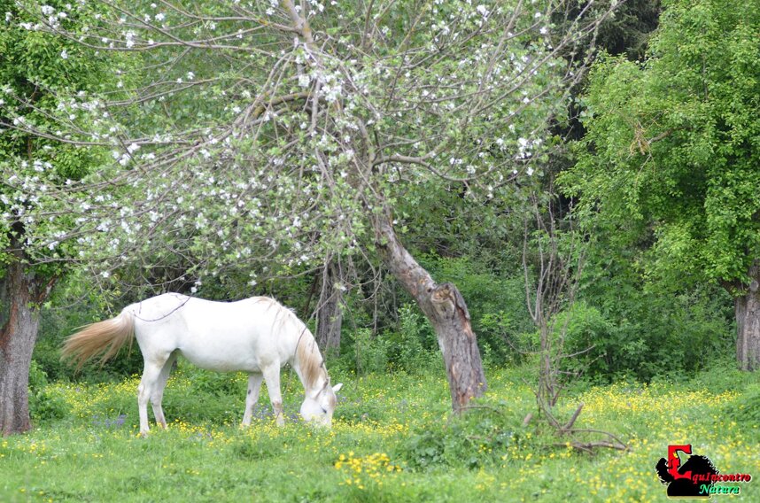 308465_ae9a67653f33ff165037dd7728e8497e669b882a