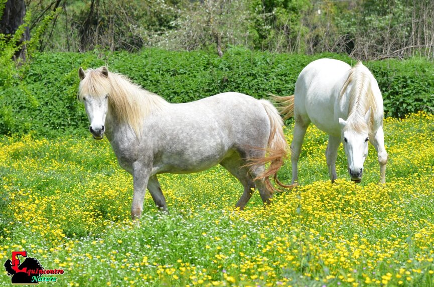 308465_fdda235b8b508a197093de45e1f4344d08cc08f5