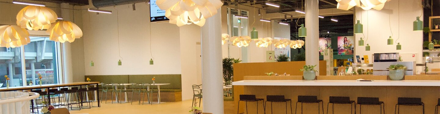 imgi_59_lichtplan.jpeg imgi_59_lichtplan.jpeg