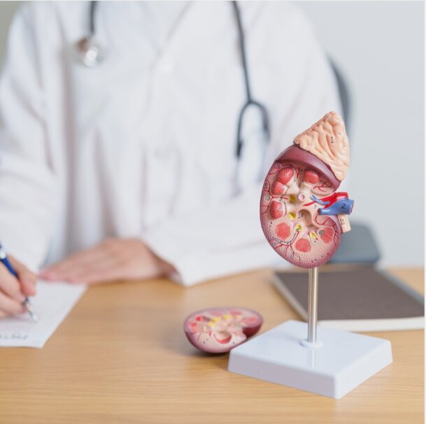 331bf7f184f18a70d4e2b891c1f560b70cef3a13