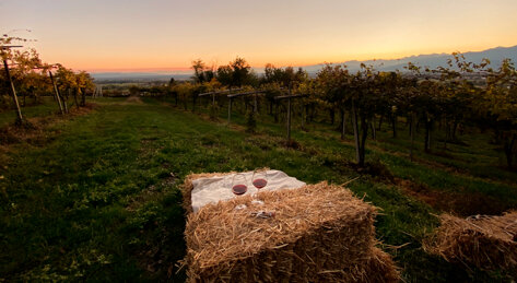 0d932725516afddcfa7cb31202d7753f84356515