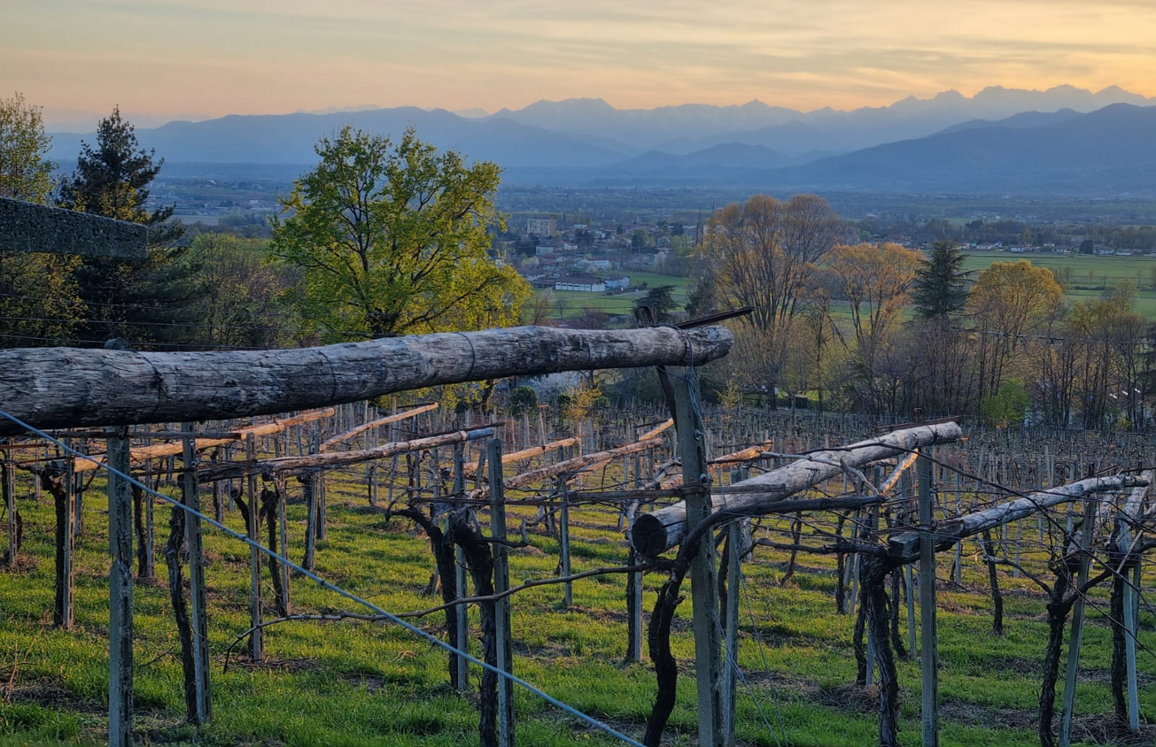 0fe2530bb108706afbb87e21191c044789fc12b7