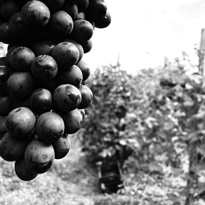 1e2cad928c923a4ca52a875b38e8605647cf6be4