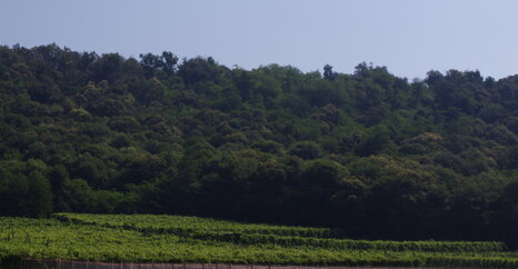 23db9e430b5866f82b7cce0e4b3b03806992db85