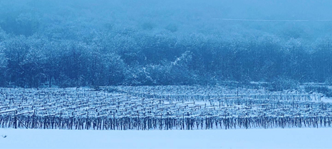 f5cbd8fbc0715f4a75e7272f3cf113db25ab1ee0