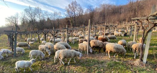 f76f41e6d350c18e5c521920a84cafb68e8abff2