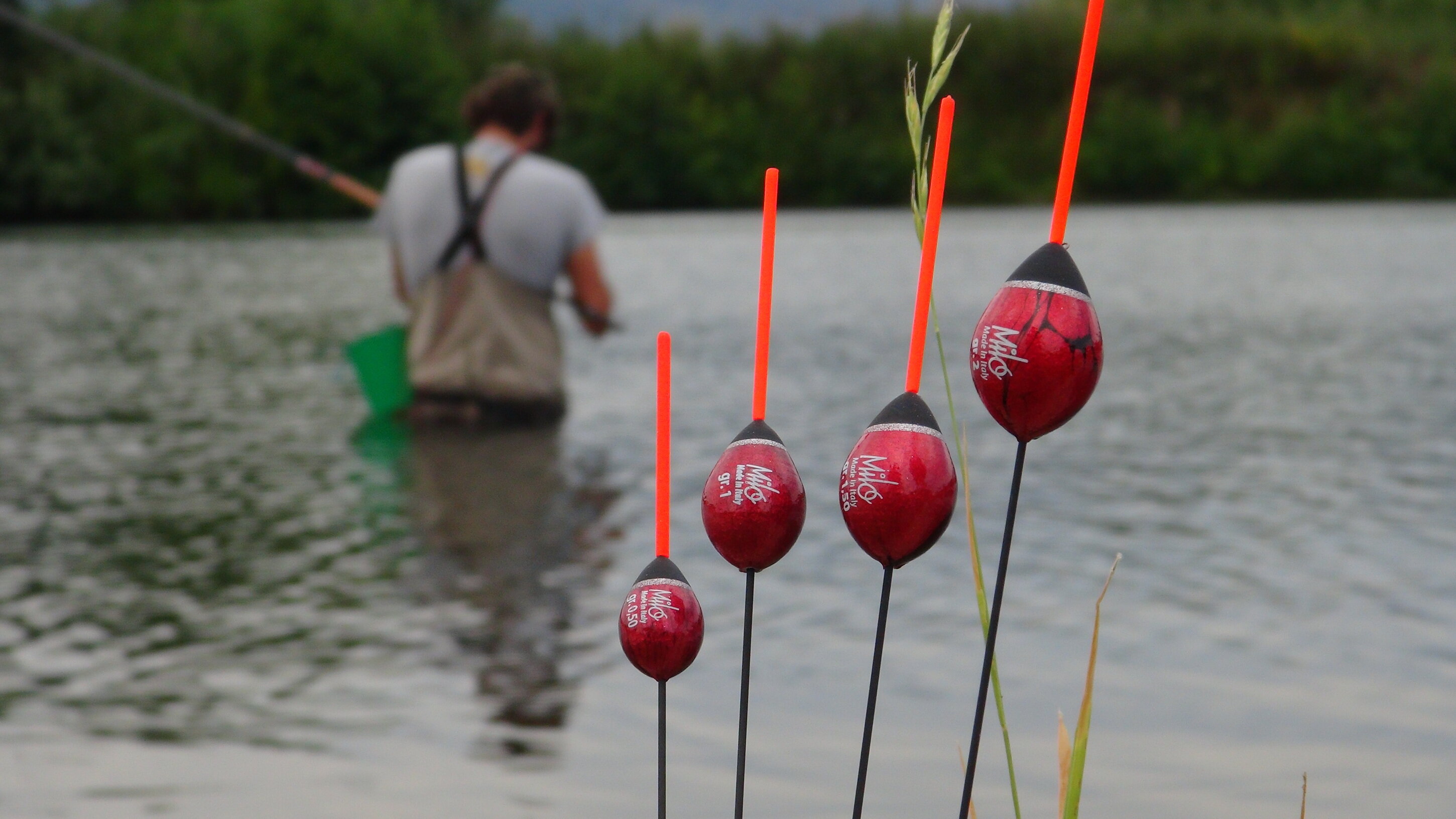 Pesca bolognese cavedano fiume galleggiante bigattino inverno estate enrico avagliano cristian magnani
