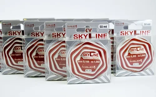 Pesca bolognese cavedano fiume galleggiante bigattino inverno estate enrico avagliano cristian magnani