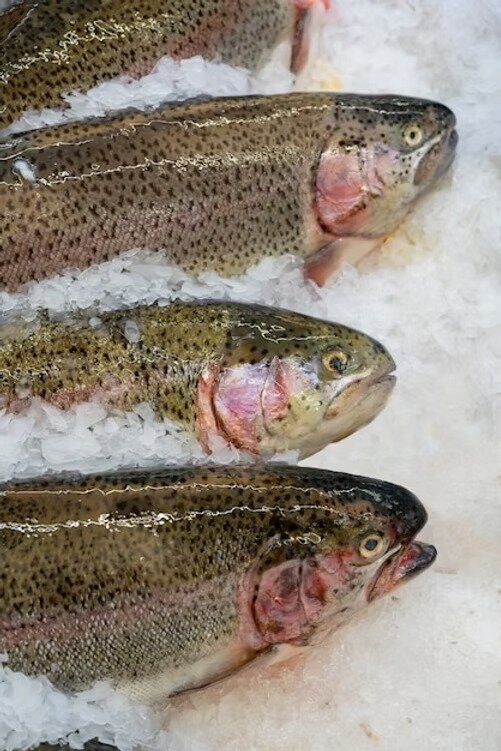 Almeno 24 minuti di dolore per ogni chilo di peso, l’asfissia è la morte peggiore Almeno 24 minuti di dolore per ogni chilo di peso, l’asfissia è la morte peggiore