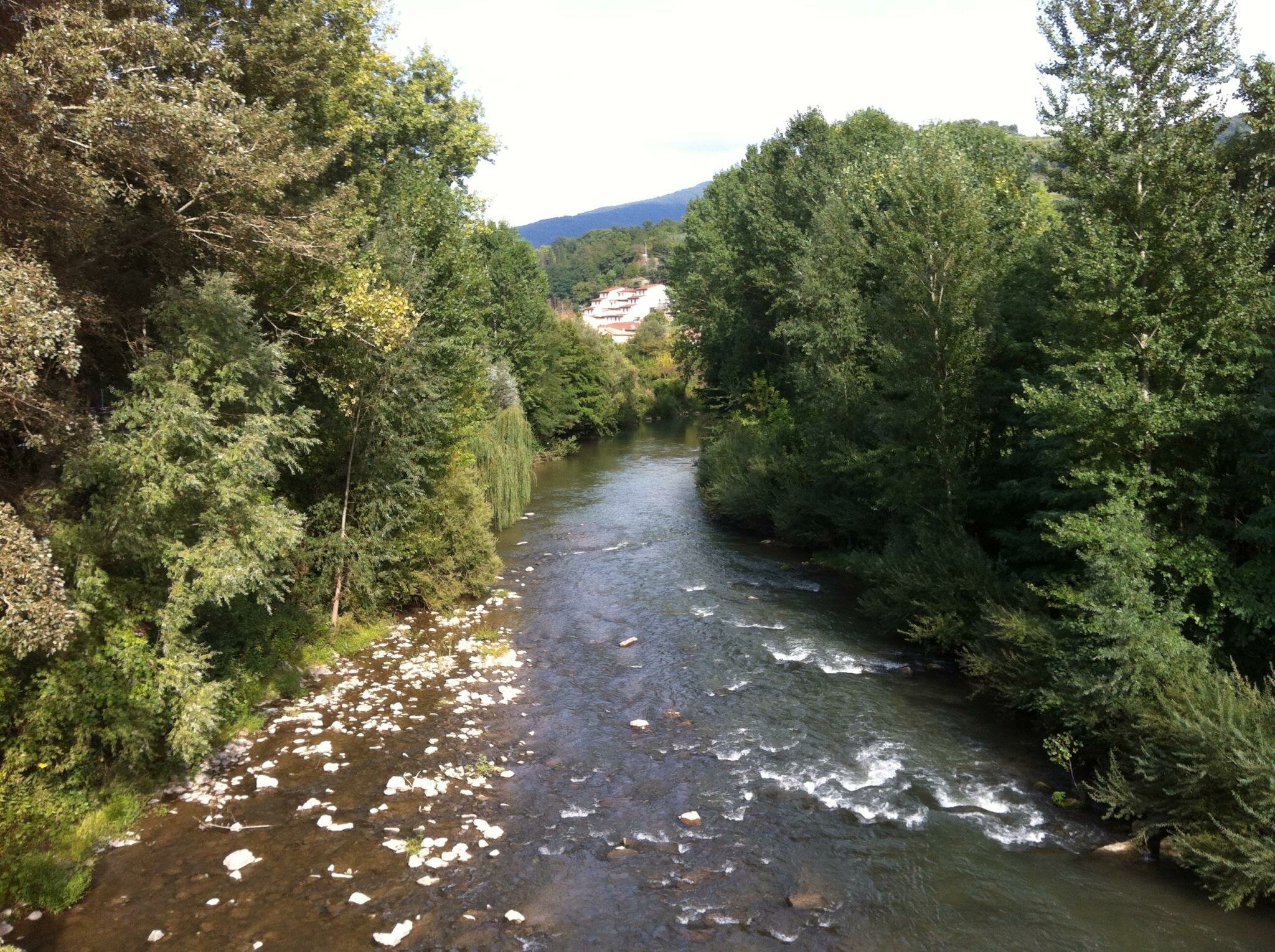 Pesca bolognese cavedano fiume galleggiante bigattino inverno estate enrico avagliano cristian magnani