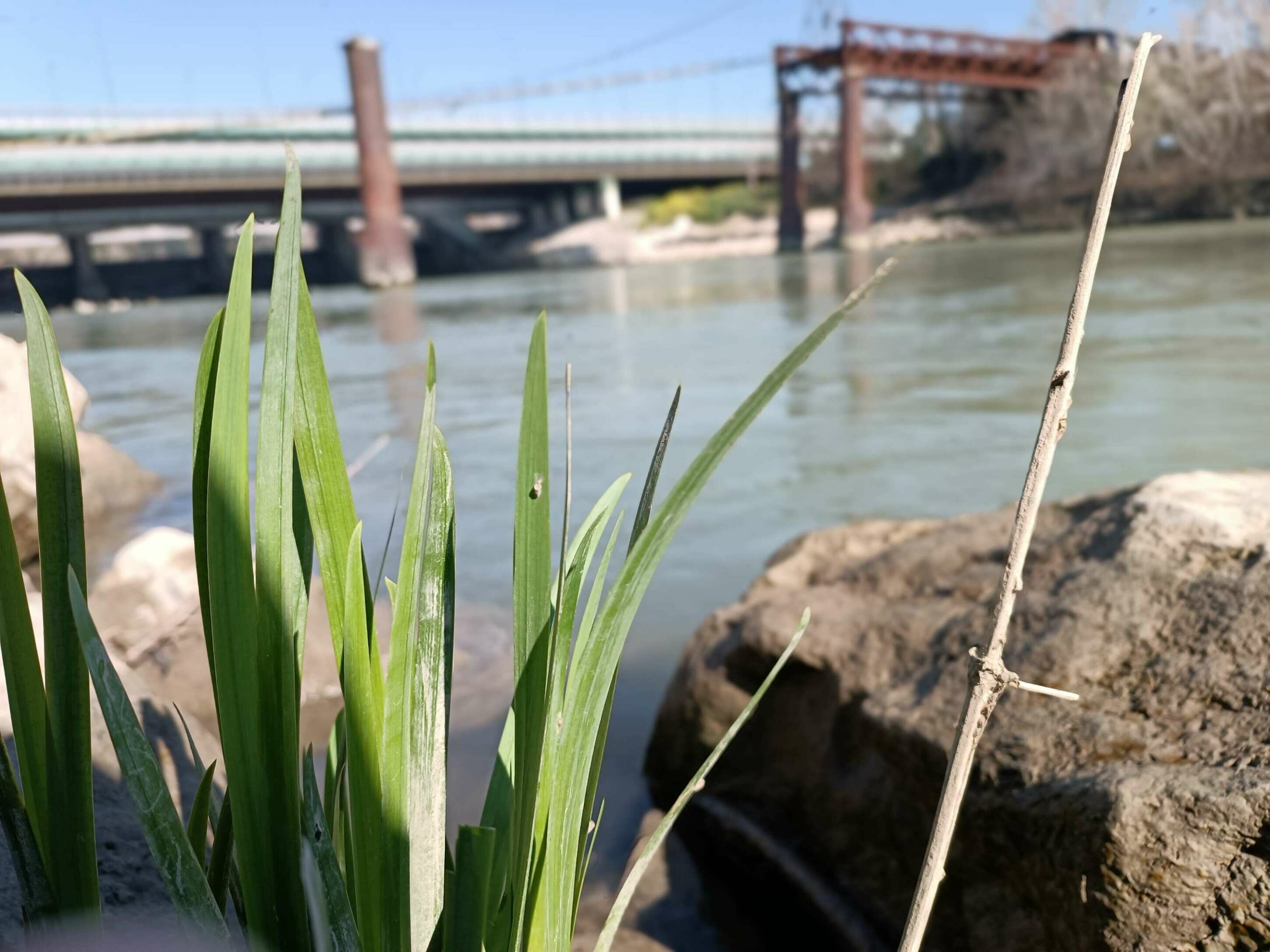 Pesca bolognese cavedano fiume galleggiante bigattino inverno estate enrico avagliano cristian magnani
