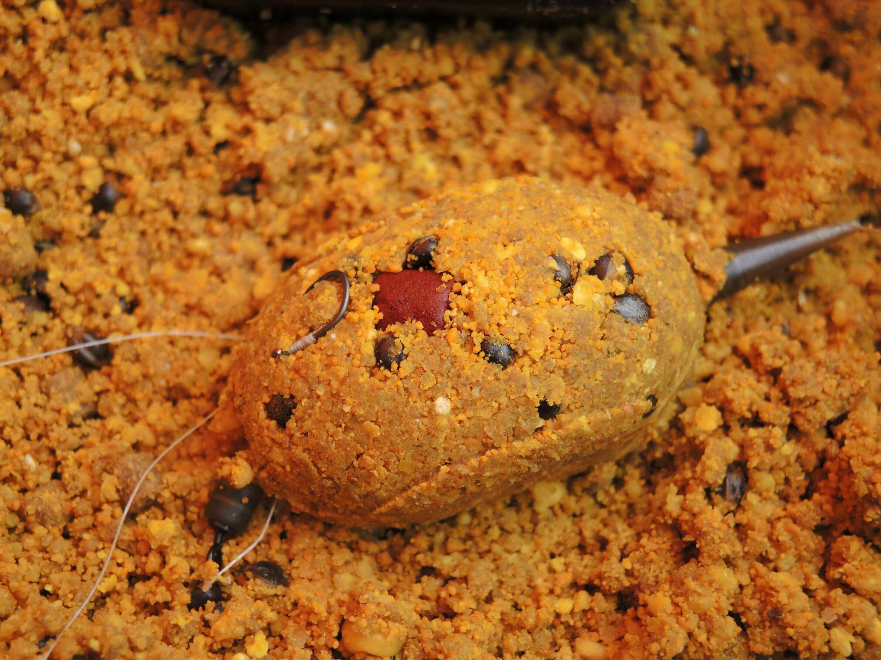 Pesca feeder method lago carpa carasso sergio farina enrico avagliano