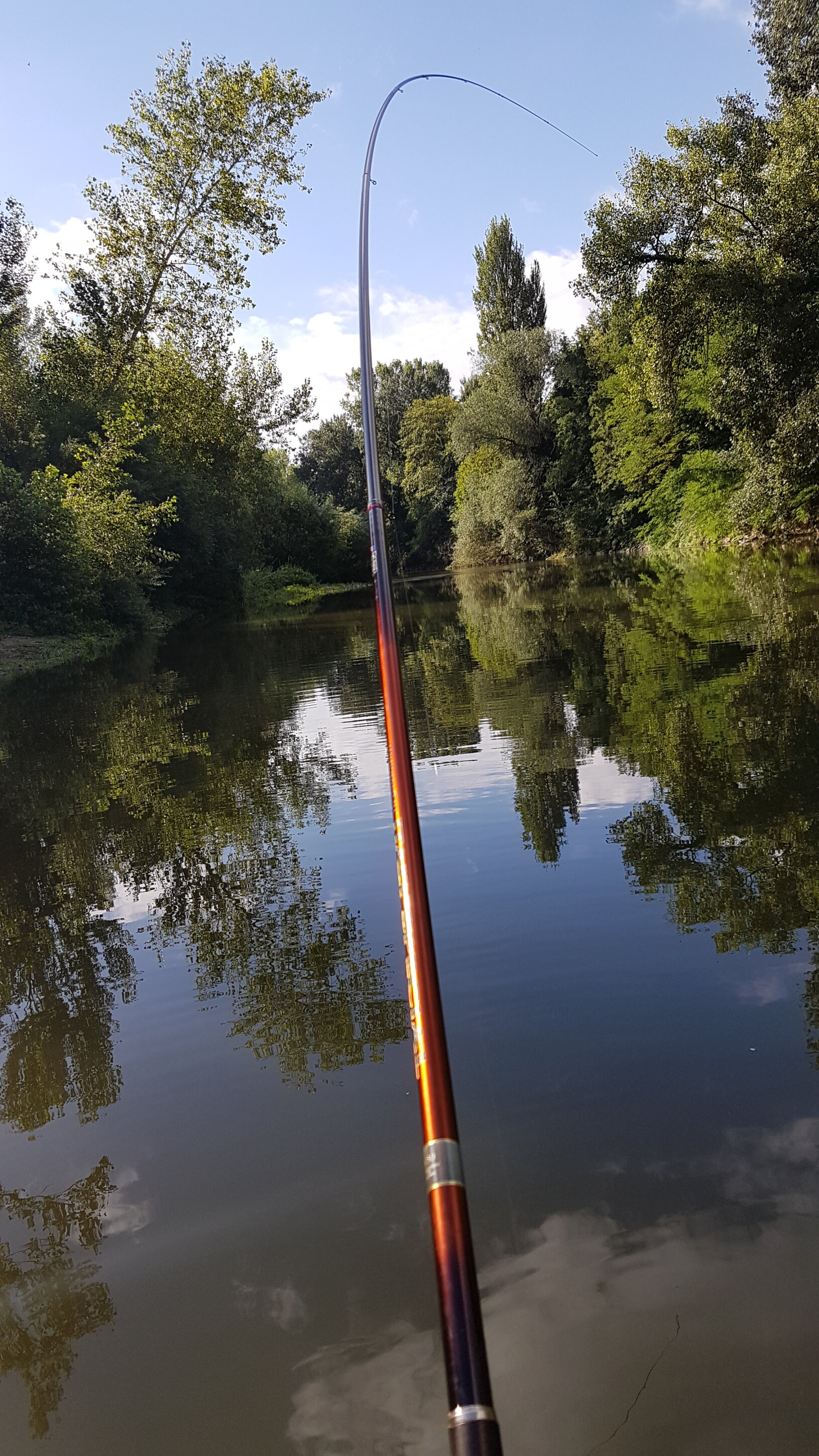 Pesca bolognese cavedano fiume galleggiante bigattino inverno estate enrico avagliano cristian magnani