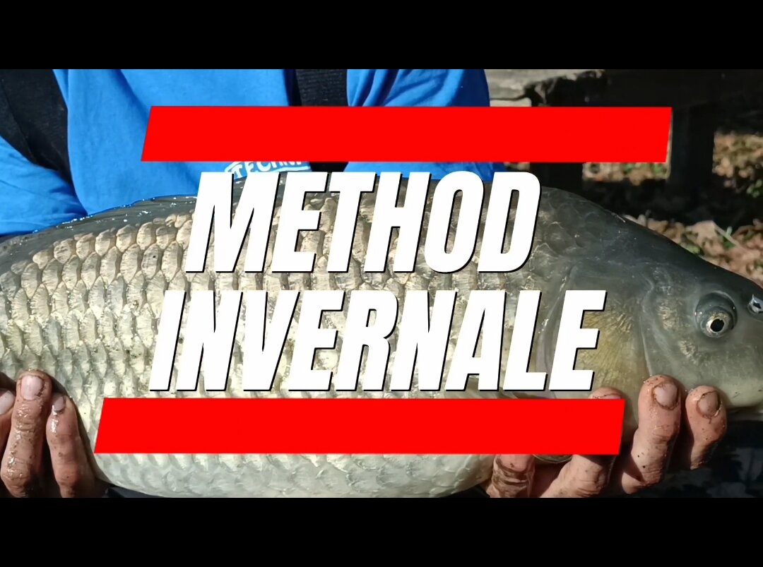 pesca method lago carpa pastura inverno enrico avagliano youtube video