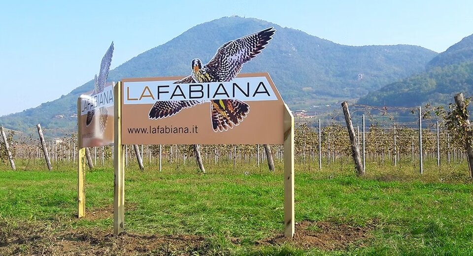 imageye___-_imgi_3_4b2dd1_20c1e089fcba49629c1a7f34468fa4a5~mv2.jpeg imageye___-_imgi_3_4b2dd1_20c1e089fcba49629c1a7f34468fa4a5~mv2.jpeg