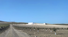 imgi_168_50aa6a_886ab76b386b462ebe8705a56623e14bmv2