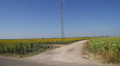 imgi_170_50aa6a_e2d4800dd5b94922bacec57ce380253bmv2