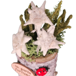 tronchetto-verticale-porta-fortuna-decorato-a-mano-con-stelle-alpine-vere