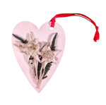 cuore-bianco-con-stelle-alpine-vere