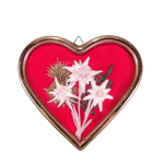 quadretto-a-cuore-con-stelle-alpine