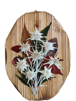 ovale-in-legno-decorato-a-mano-con-stelle-alpine-vere