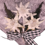 cuore-in-latta-con-stella-alpina-e-fiocco