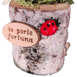 tronchetto-verticale-porta-fortuna-decorato-a-mano-con-stelle-alpine-vere