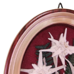 quadretto-ovale-con-stelle-alpine