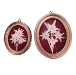 quadretto-ovale-con-stelle-alpine