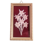 quadretto-rettangolare-con-stelle-alpine