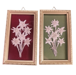 quadretto-rettangolare-con-stelle-alpine