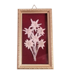 quadretto-rettangolare-con-stelle-alpine