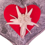 cuore-in-latta-con-stella-alpina