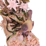 scarpone-in-resina-con-stelle-alpine-vere