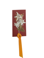 segnalibro-fatto-a-mano-con-stelle-alpine-vere-piccolo