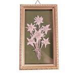 quadretto-rettangolare-con-stelle-alpine