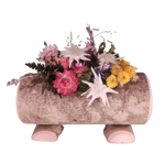 tronchetto-decorato-a-mano-con-fiori-secchi-e-stelle-alpine-vere