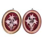 quadretto-ovale-con-stelle-alpine