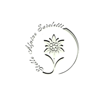 logo (520 × 520 px) (1)