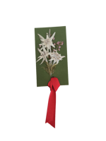 segnalibro-fatto-a-mano-con-stelle-alpine-vere-piccolo